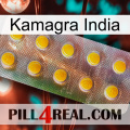 Kamagra India new11